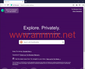 متصفح تور tor browser
