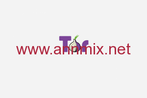 تحميل متصفح تور Tor Browser عربي للكمبيوتر وللاندرويد اخر اصدار 2024 من ميديا فاير