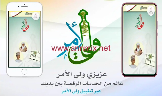 ولي الأمر