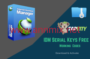 IDM