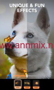  تنزيل برنامج pixaloop للاندرويد مهكر