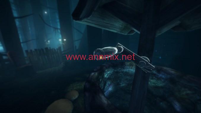 among the sleep