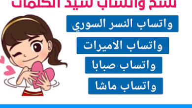 تنزيل واتس ابو الليث