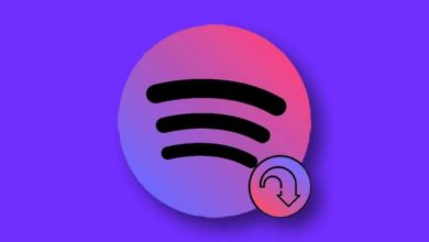 spotiflyer apk