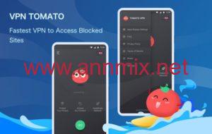 vpn tomato مهكر