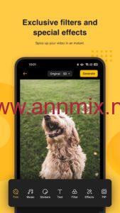 تحميل برنامج soloop مهكر