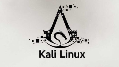 kali linux