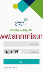 برنامج حساب المواطن