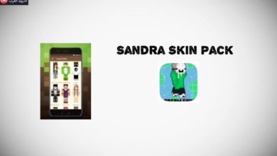sandra skin pack apk