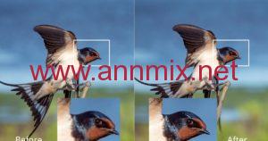 تحميل تطبيق image upscaler اخر اصدار 2023