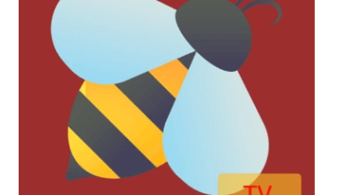 bee tv مهكر
