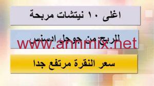 افضل نيتش للربح من ادسنس