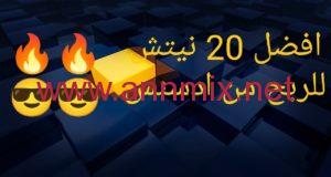 نيتش للربح من ادسنس