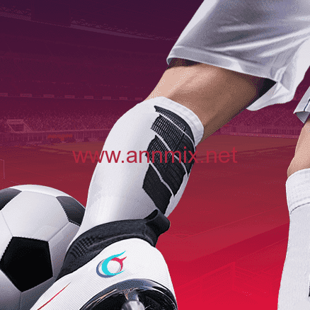 vive le football download iphone