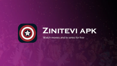 تحميل برنامج zinitevi