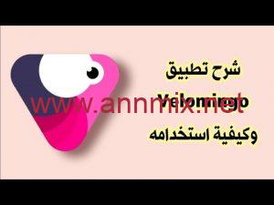 "<yoastmark