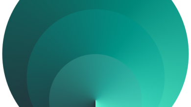 outline vpn apk