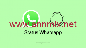 تحميل برنامج حفظ حالات الواتس فيديو وصور APK للاندرويد وللايفون اخر اصدار 2023