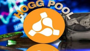 تحميل تطبيق Hogg Pool هوج بول APK للاندرويد وللايفون اخر اصدار 2026 مجاناً