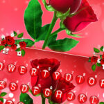 Red Rose