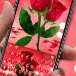 تطبيق رد روز Red Rose