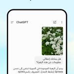 Chat GPT 4