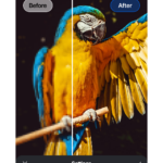 برنامج VN