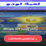 برنامج ويسبر