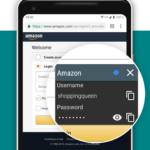 باسورد سيف Password Safe