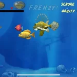 Feeding Frenzy
