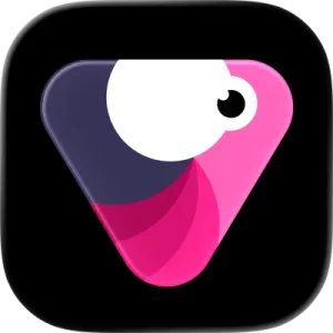 تحميل تطبيق فيلومينجو Velomingo Pro مهكر للاندرويد Apk اخر اصدار 2027 مجاناً