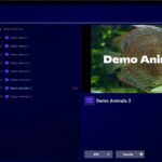 تحميل تطبيق IPTV Stream Player