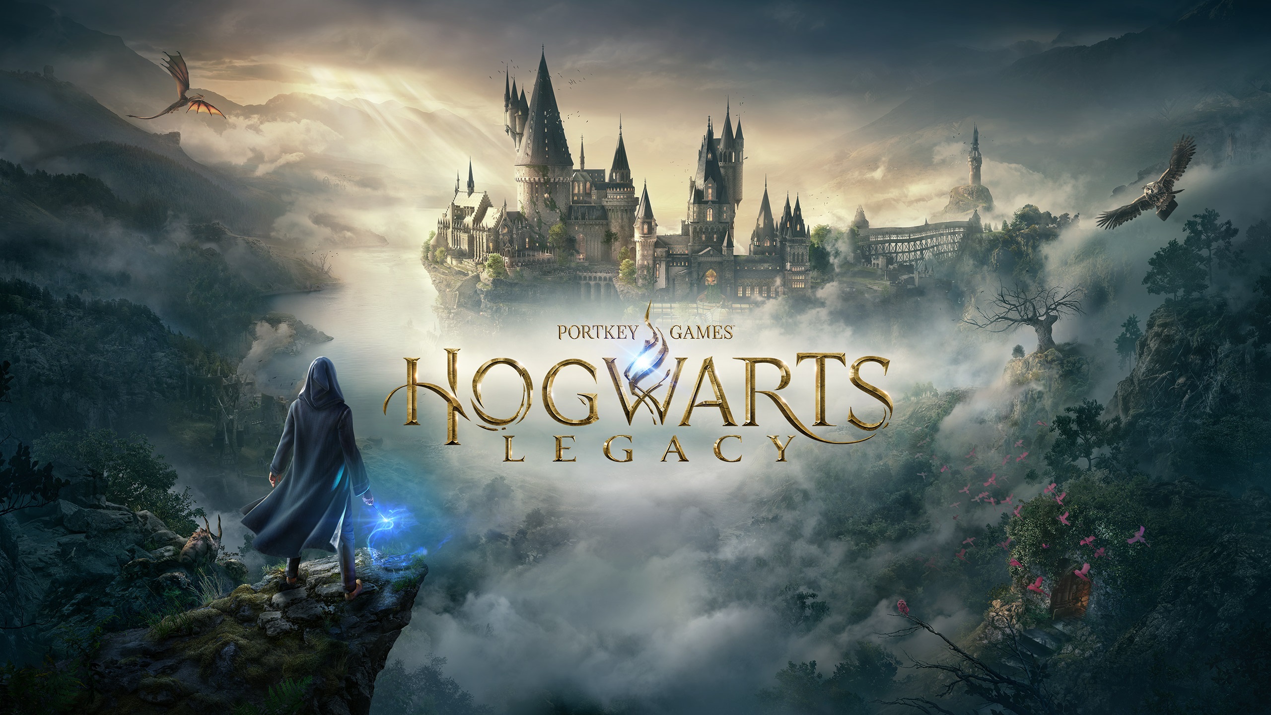 لعبة هاري بوتر harry potter