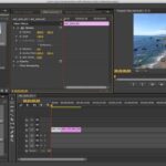 premiere pro