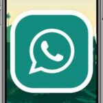 تحميل واتس اب فالوجيين FjWhatsApp