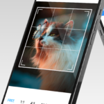 المعرض البسيط Simple Gallery