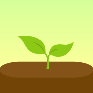تحميل تطبيق Forest مهكر APK مدفوع للاندرويد وللايفون اخر اصدار 2026 مجانا