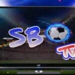 SBO TV app