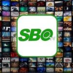 Sbo Tv Apk