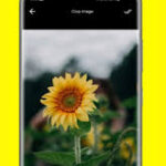 Snapify app
