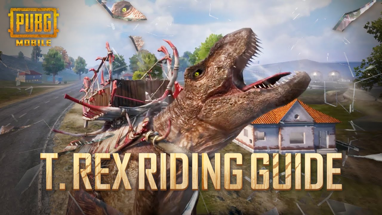 rex cheat