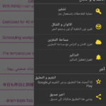 مذكراتي الخاصة My Diary