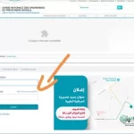 التسجيل في موقع كنوبس الجديد 2027