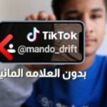 برنامج إزالة العلامة المائية من الفيديو التيك توك