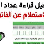تطبيق بتروتريد للاندرويد