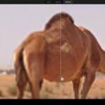 برنامج Krea لتعديل الصور