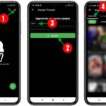rayo tv apk