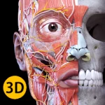 تحميل anatomy 3d atlas مهكر