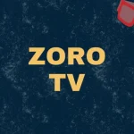 Zoro Anime