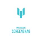 screensnag
